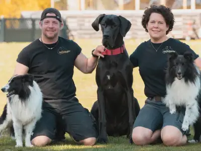 Deine Hundeschule in Karben