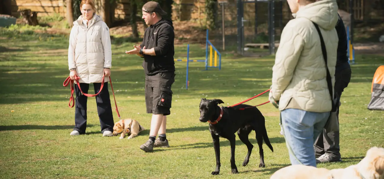 Bensdogbe Hundeschule & Ausbildungszentrum für Schul- und Therapiehunde in Karben, Dortelweiler Str. 19, 61184 Karben
