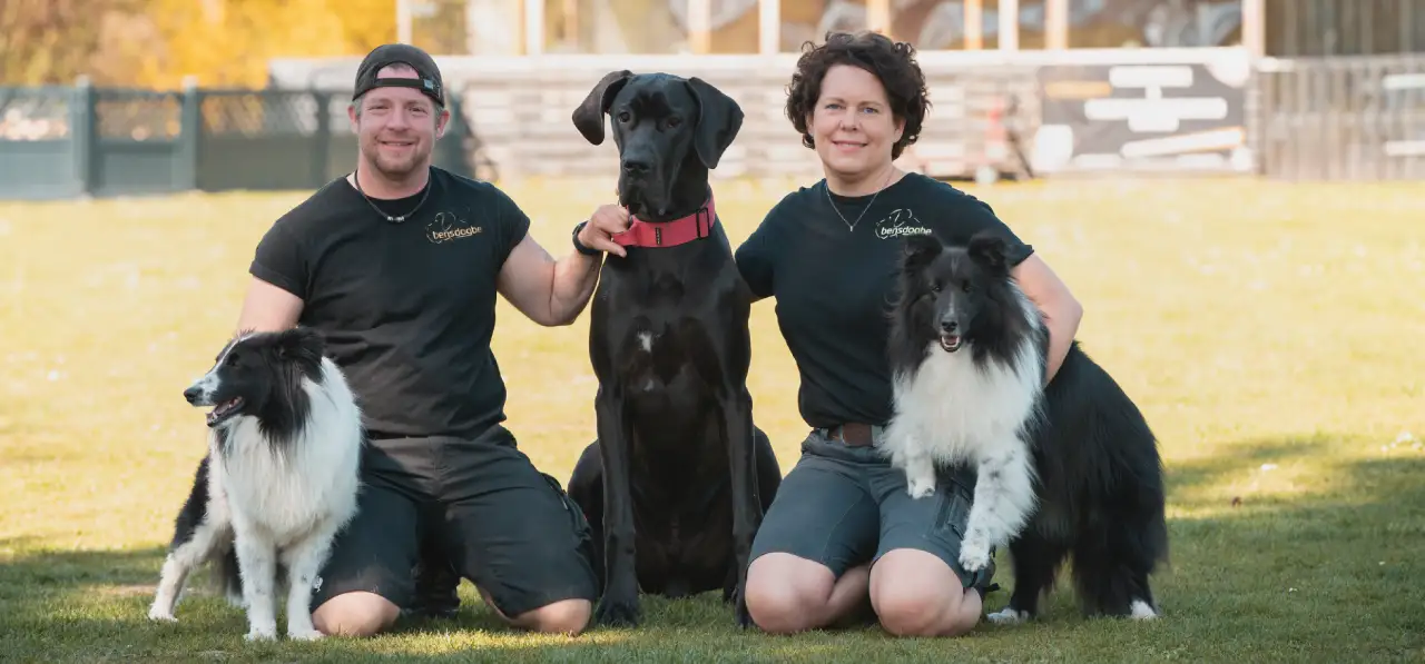 Bensdogbe Hundeschule & Ausbildungszentrum für Schul- und Therapiehunde in Karben, Dortelweiler Str. 19, 61184 Karben