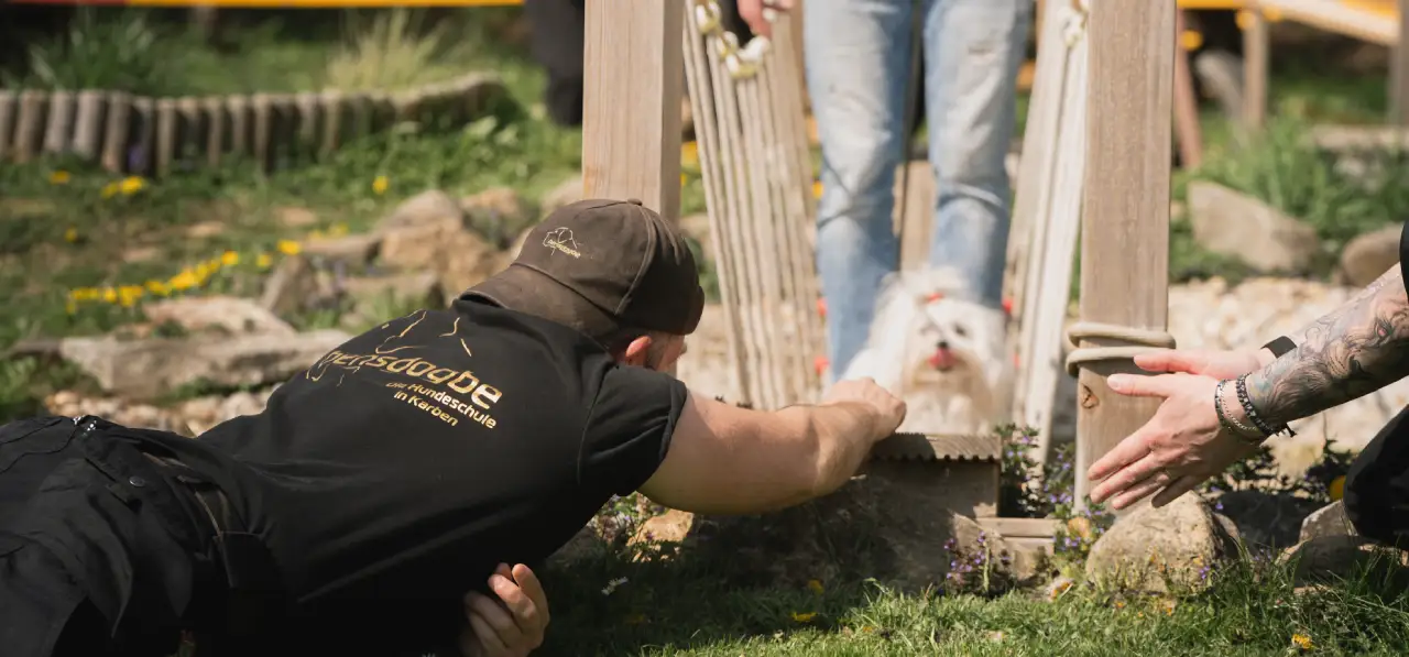Bensdogbe Hundeschule & Ausbildungszentrum für Schul- und Therapiehunde in Karben, Dortelweiler Str. 19, 61184 Karben